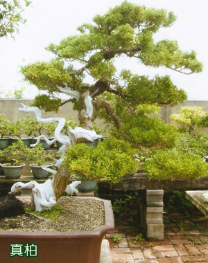 北歐地球頂五國北角.冰島.格陵蘭18天